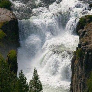 Meet your Posher, Clara